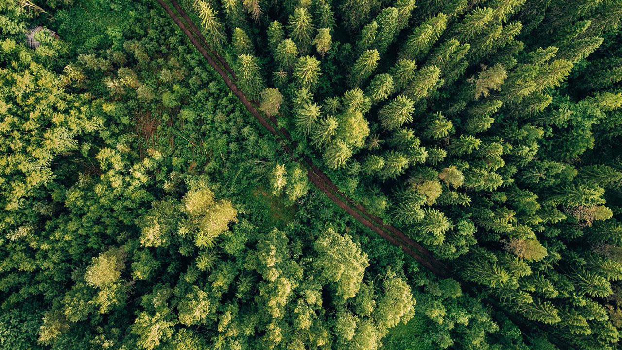 Sweden